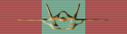 CAS Certification