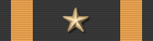 Squad Leader Certification